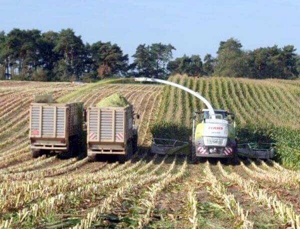 Neue Maisvorsätze für mehr Laufruhe