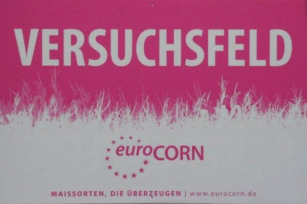 Demo-Feld Maissorten EUROCORN