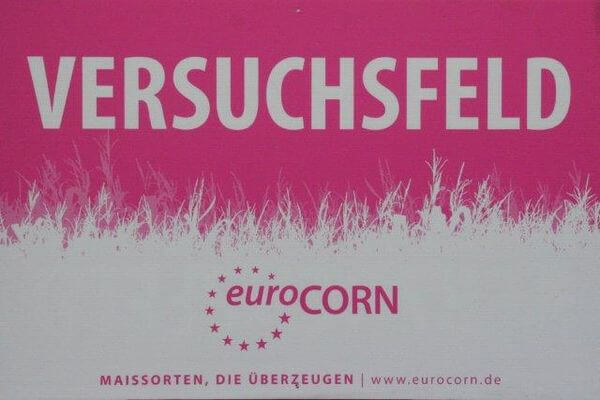 euroCORN Demofeld in Handewitt