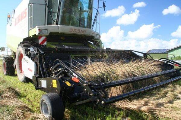 Neu: Claas Rake Up für Schwaddrusch